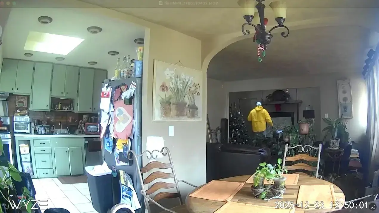 فيلم «Home Alone» يتحوّل إلى حقيقة في لونغ آيلاند