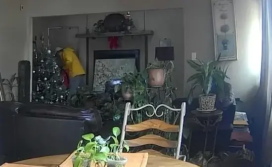 فيلم «Home Alone» يتحوّل إلى حقيقة في لونغ آيلاند