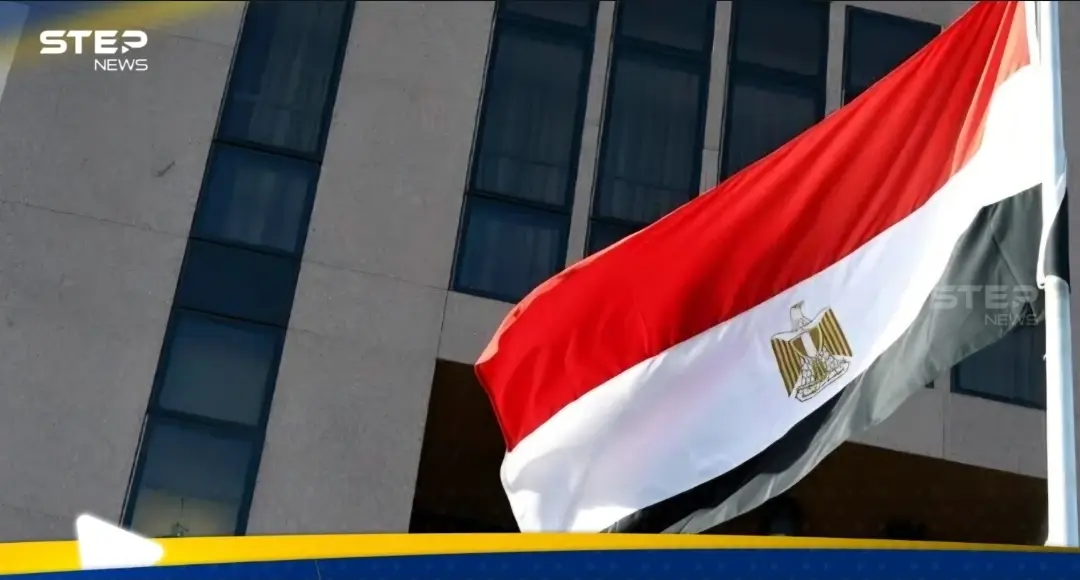 "فيروسات غامضة تهاجم الأطفال الرضع في مصر".. الصحة المصرية تكشف الحقيقة