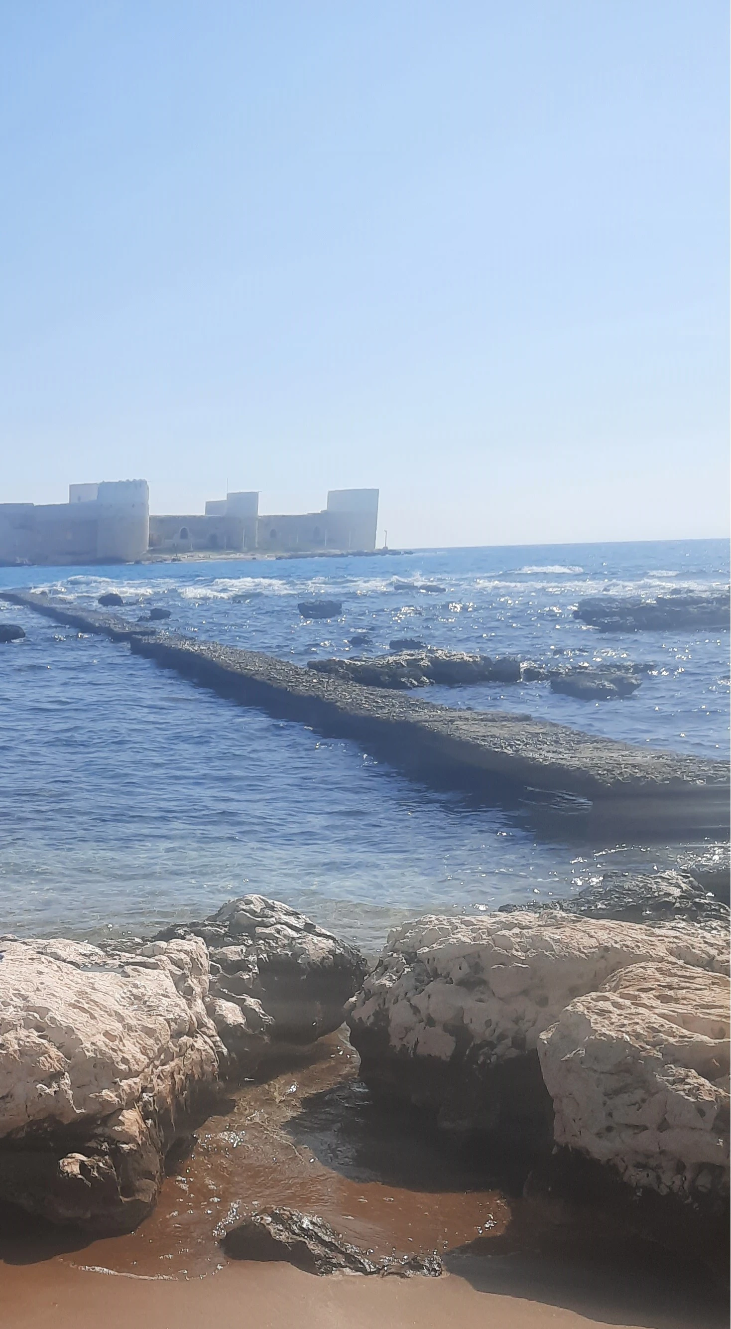 تركيا