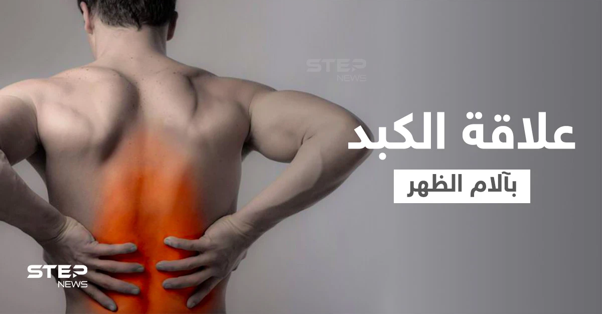 هل الكبد يسبب ألم الظهر وما هي الأعضاء الداخلية الأخرى التي تؤدي إلى ذلك