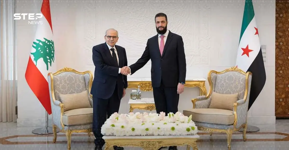 لبنان يقطع الطريق على "إيذاء سوريا".. سلام يعلنها من دمشق!: دمشق