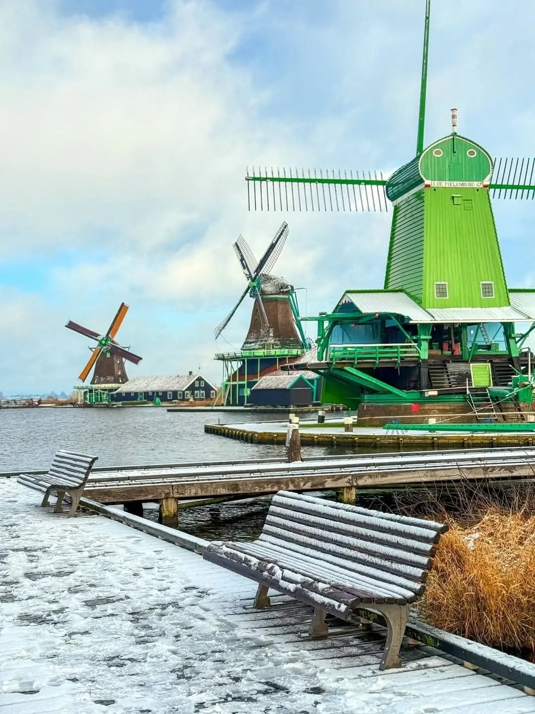 زانس شانس هولندا - عدسة الجمهور - وكالة ستيب نيوز