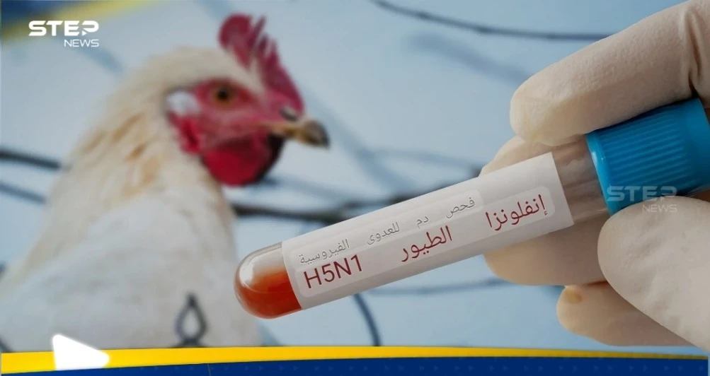 وزير ألماني يدق ناقوس الخطر بسبب تفشي انفلونزا الطيور