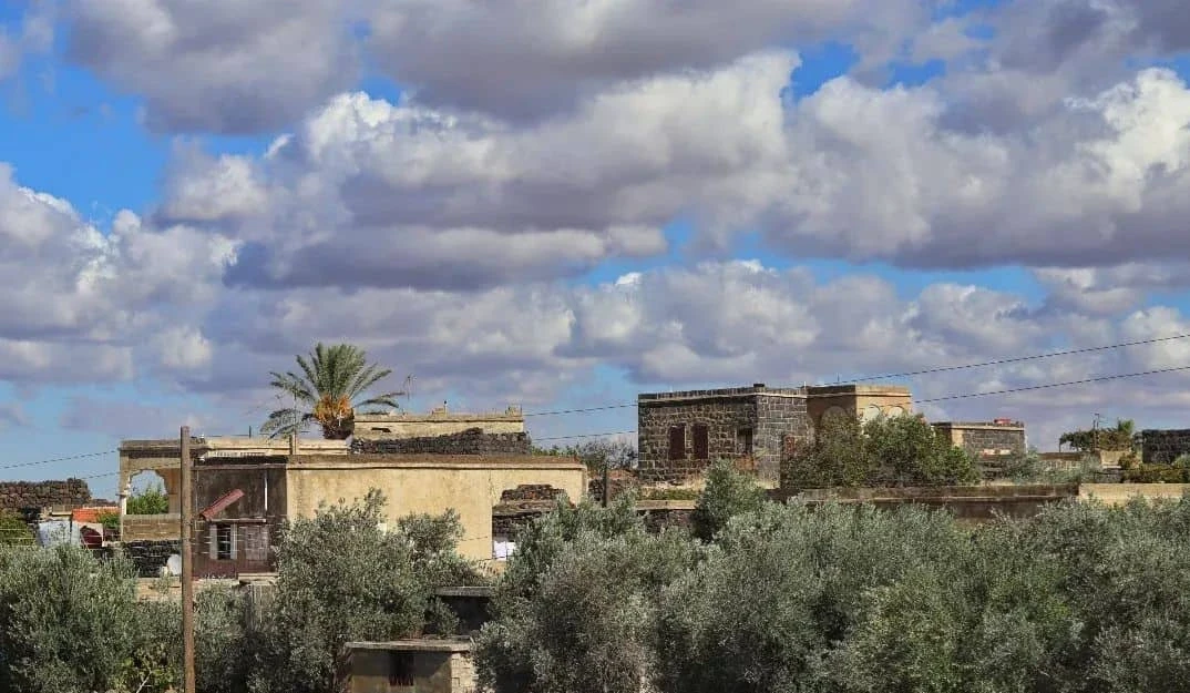 السويداء