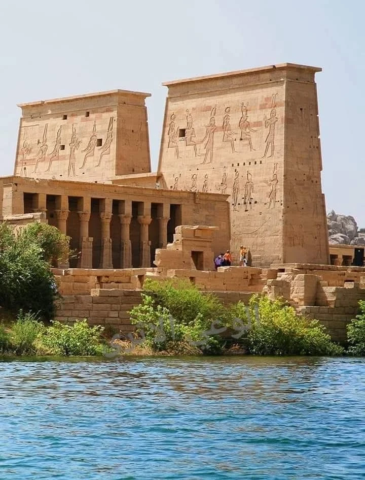 مصر