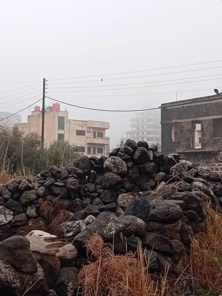 السويداء