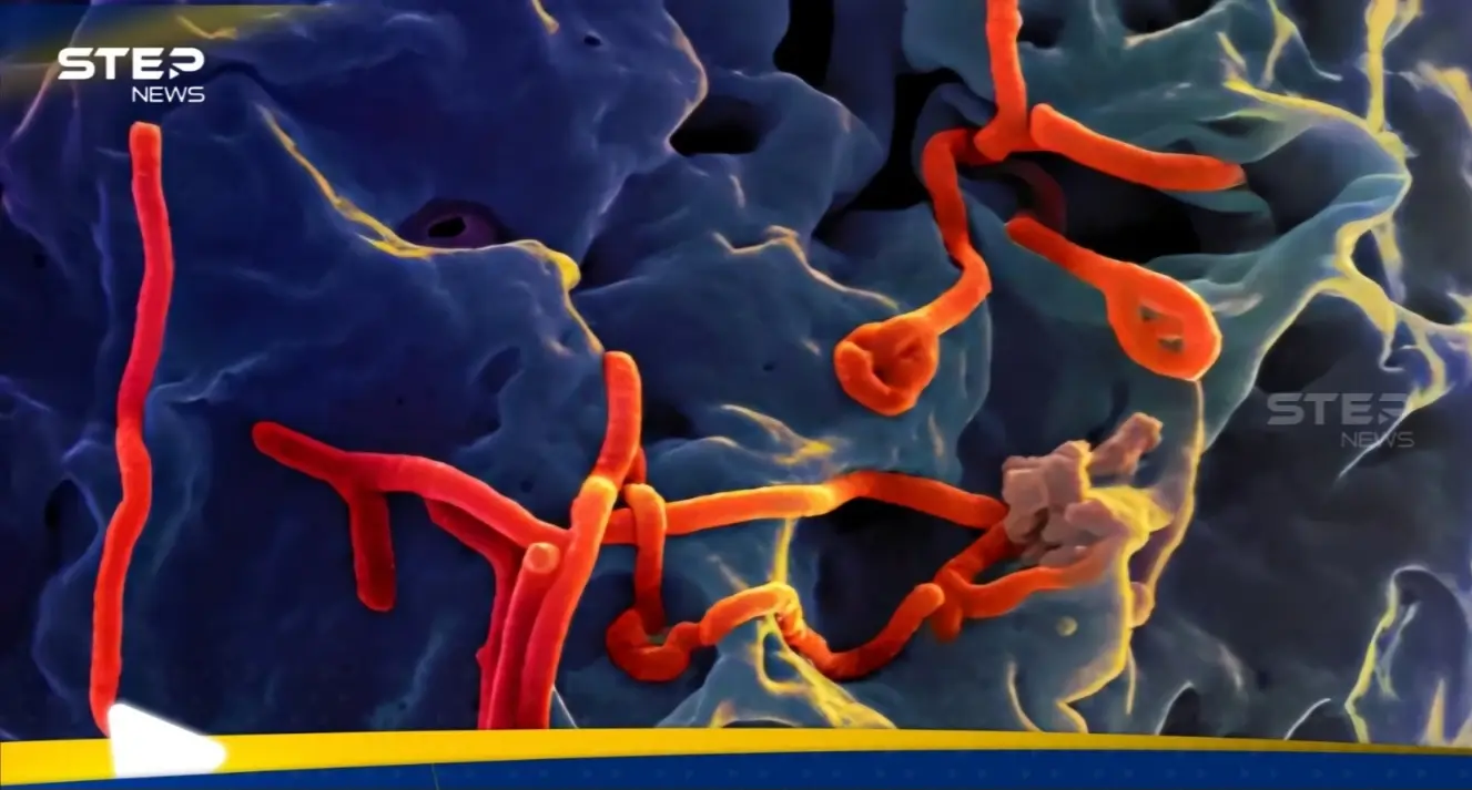 فيروس إيبولا ينتشر في دولة أفريقية ويسبب ذعرا: مؤشر الدعاية