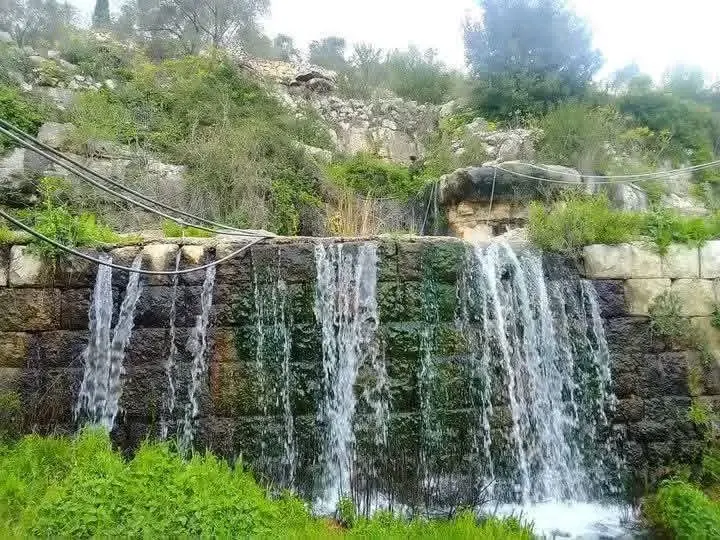 طرطوس - عدسة الجمهور - وكالة ستيب نيوز