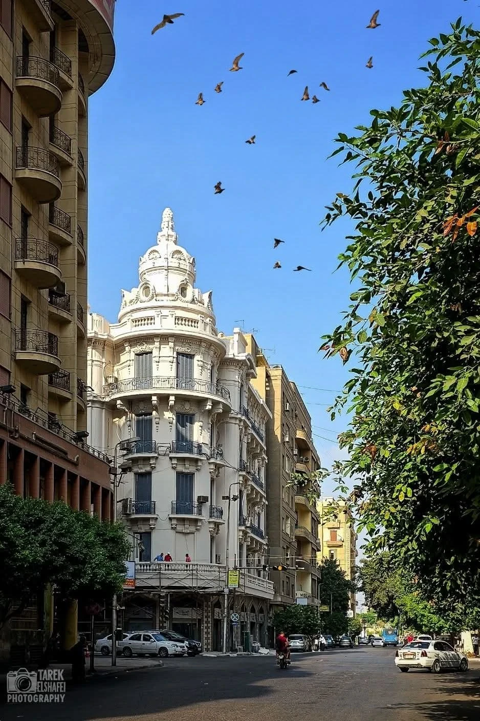 مصر