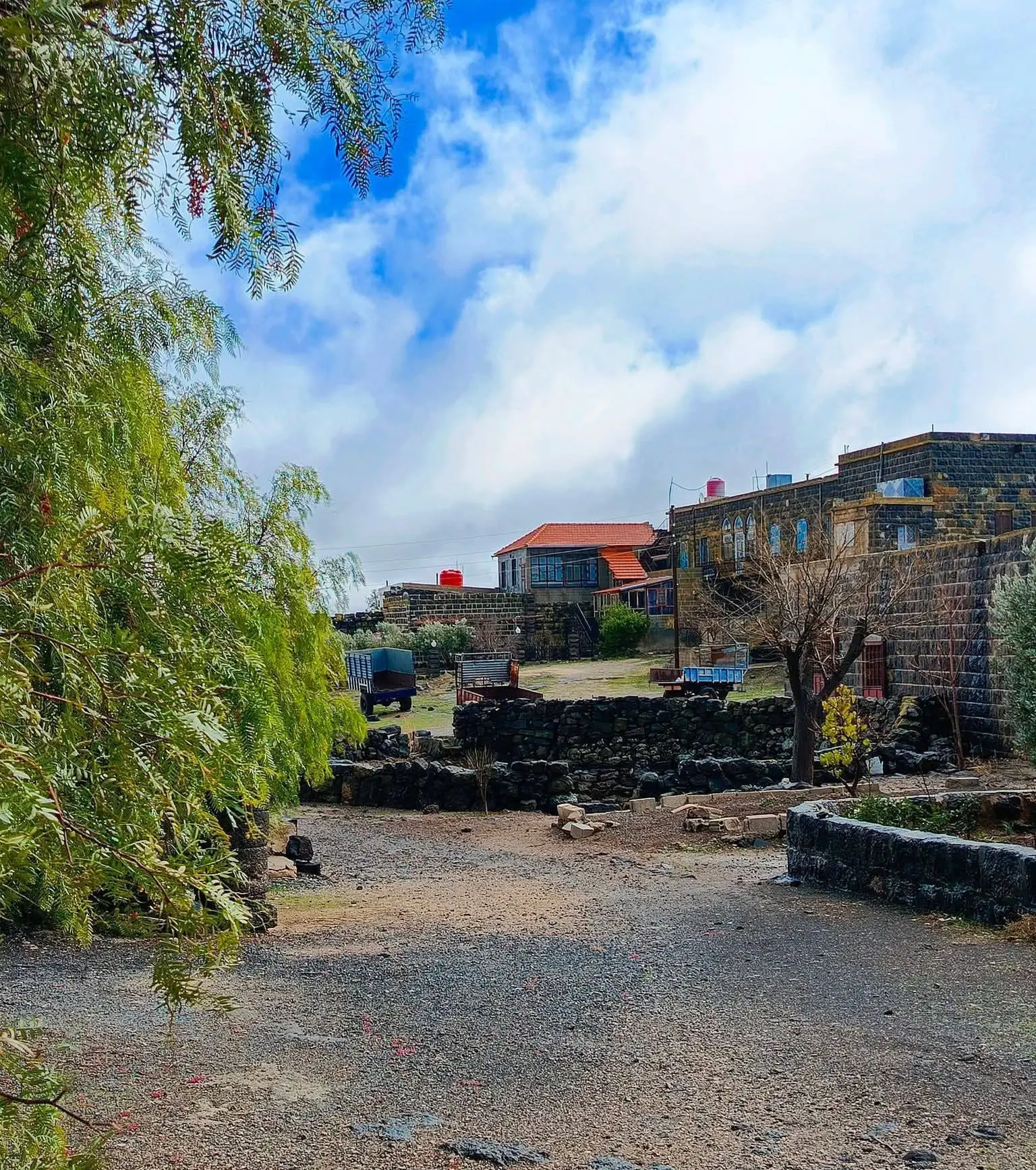 سوريا السويداء - عدسة الجمهور - وكالة ستيب نيوز