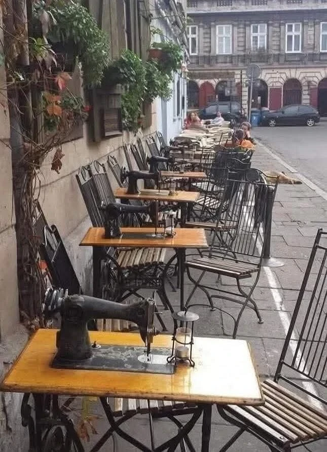 بولندا - عدسة الجمهور - وكالة ستيب نيوز