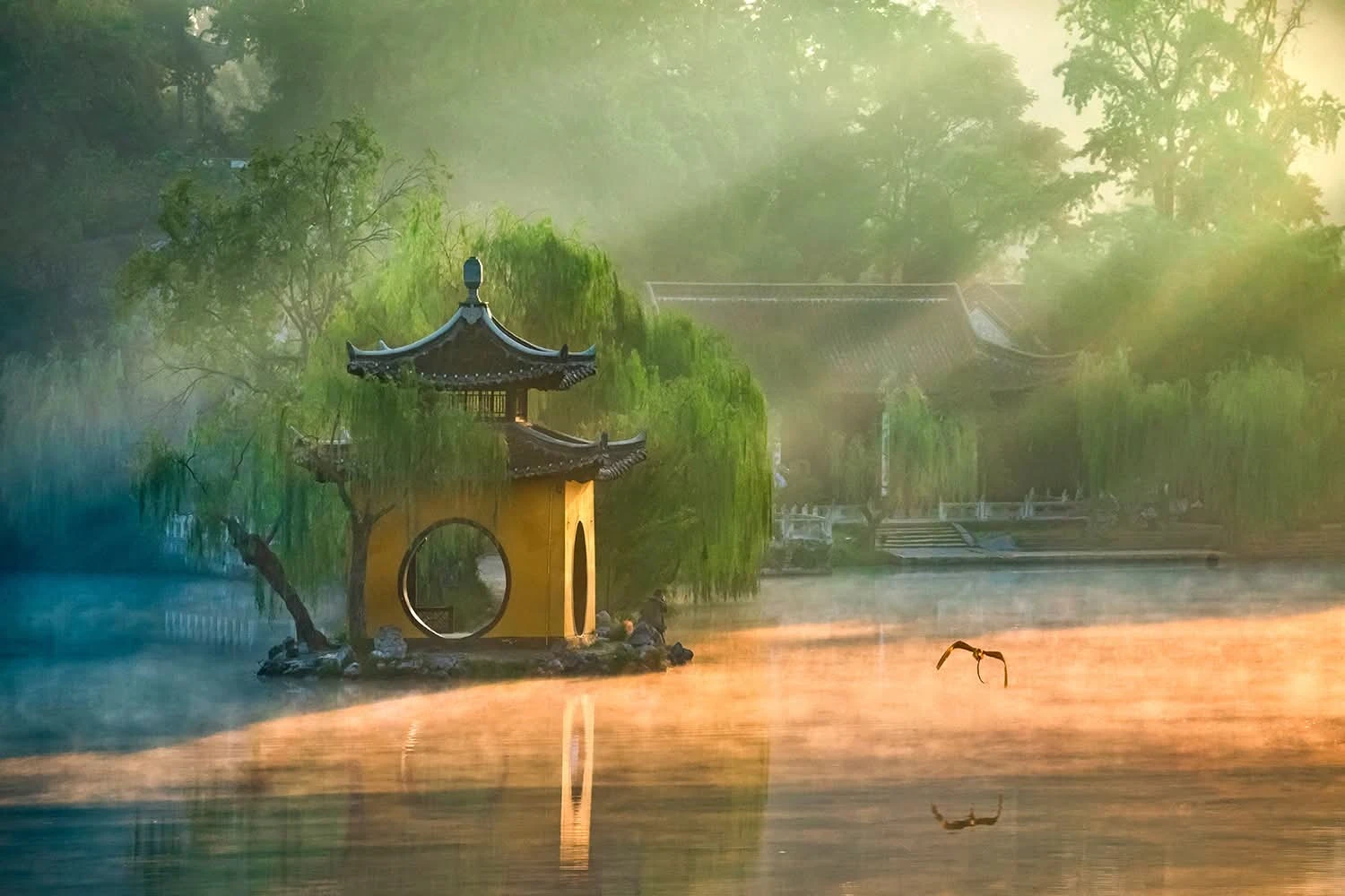 الصين - عدسة الجمهور - وكالة ستيب نيوز