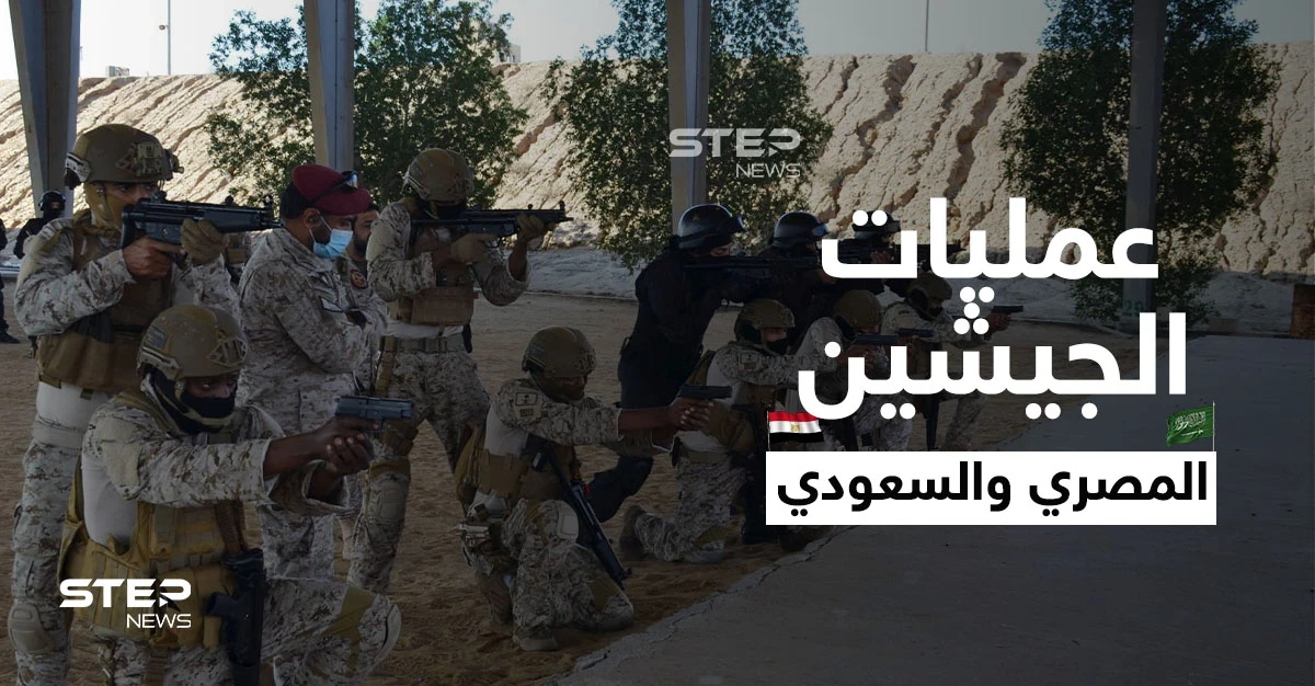 شاهد الجيشين المصري والسعودي ينفذان عمليات تدمّر "أهداف معادية"