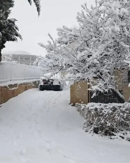 سوريا بلودان - عدسة الجمهور - وكالة ستيب نيوز