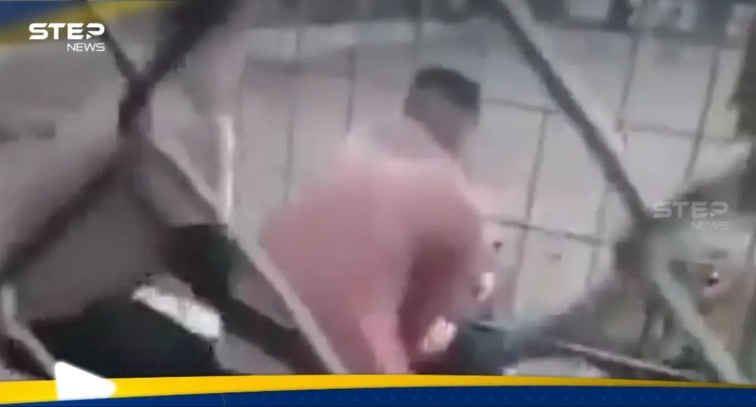 بالفيديو|| نمر يهاجم طفلاً ويسحبه من قدميه في حديقة ببغداد والسلطات تكشف مصيره