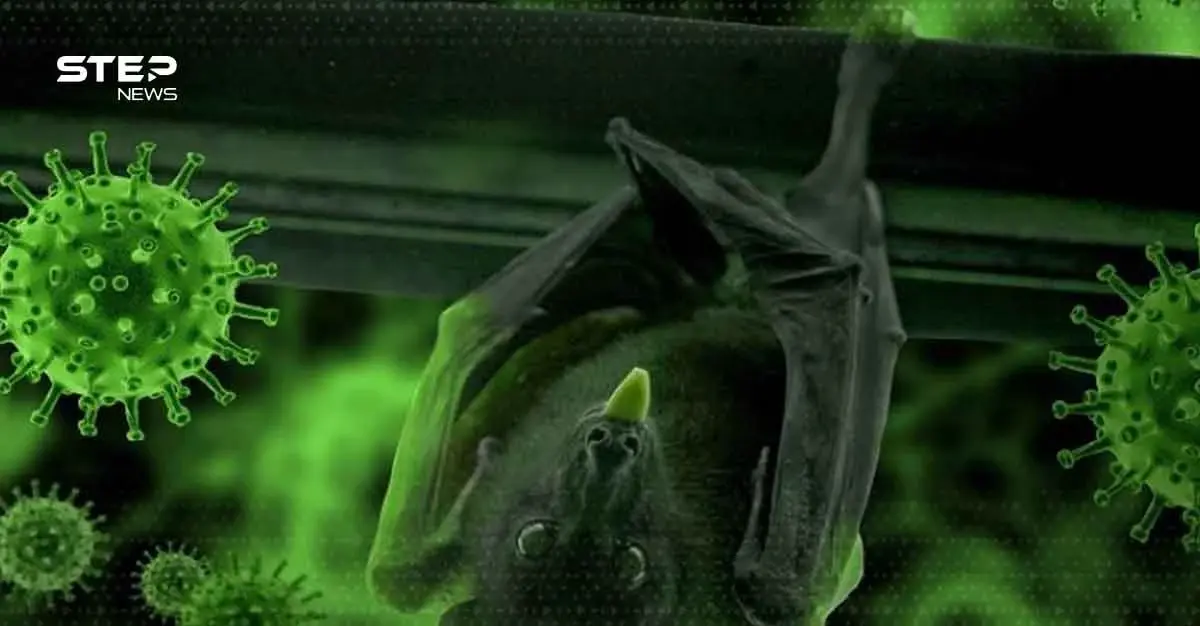 فيروس نيباه مرض بلا لقاح ونسبة وفيات مرتفعة