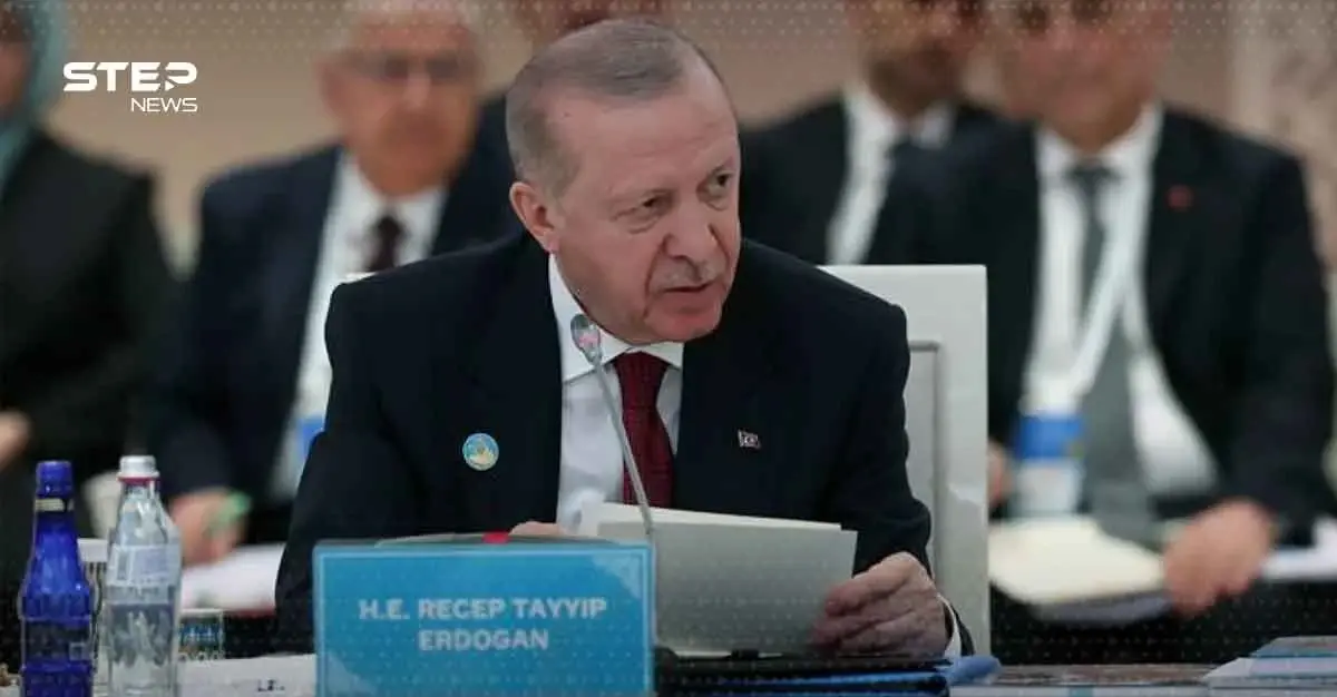 ما الذي وعد به أردوغان لقمة الناتو في أنقرة؟: الاتحاد الأوروبي