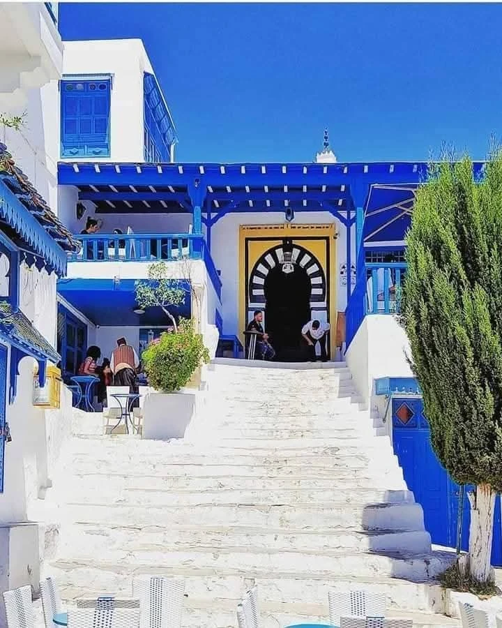 تونس - عدسة الجمهور - وكالة ستيب نيوز
