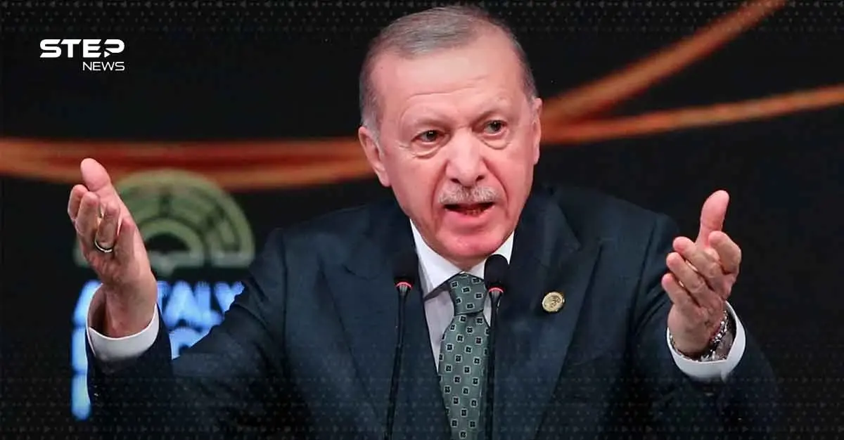 أردوغان شدد على ضرورة تجنب تكرار الأخطاء والمثابرة في الاستفزازات