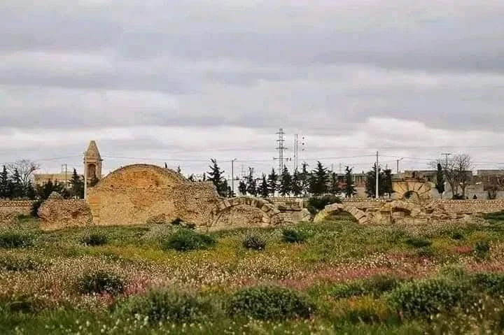 تونس