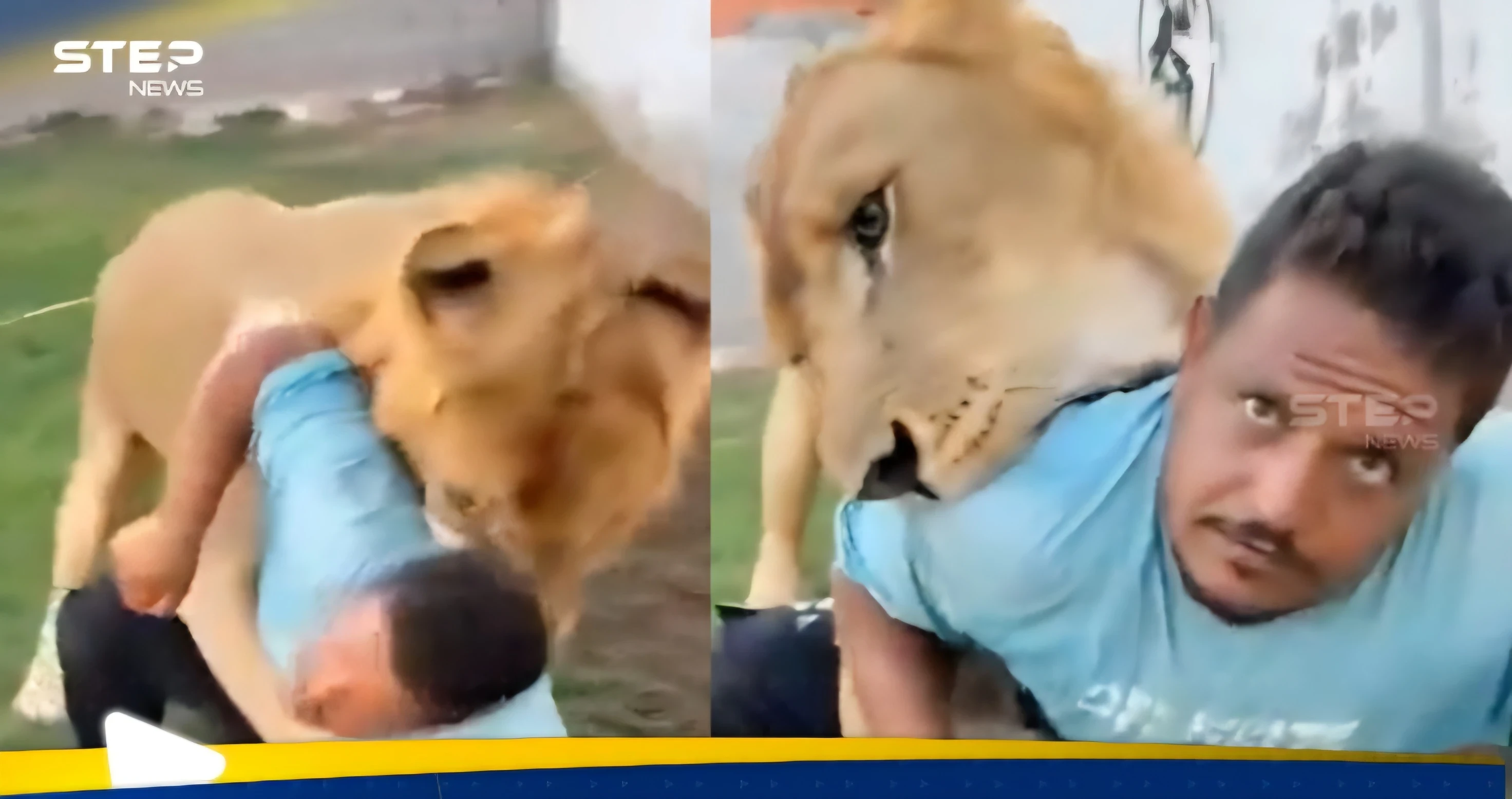 في مشهد صادم.. ليبي يطلق أسده على عامل مصري (فيديو)