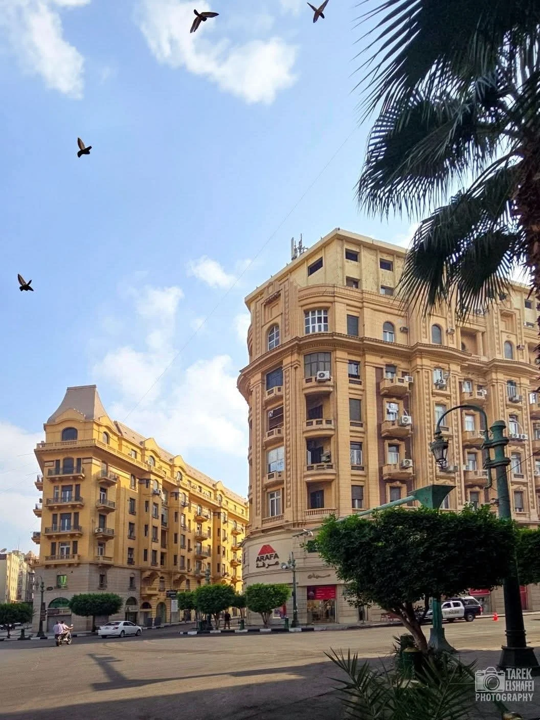 مصر القاهرة
