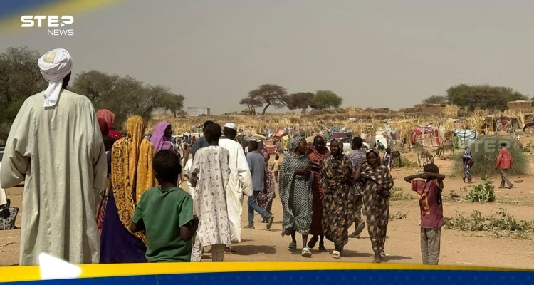 مبعوث ترامب يكشف تطورات الهدنة في السودان مبعوث ترامب يكشف تطورات الهدنة في السودان