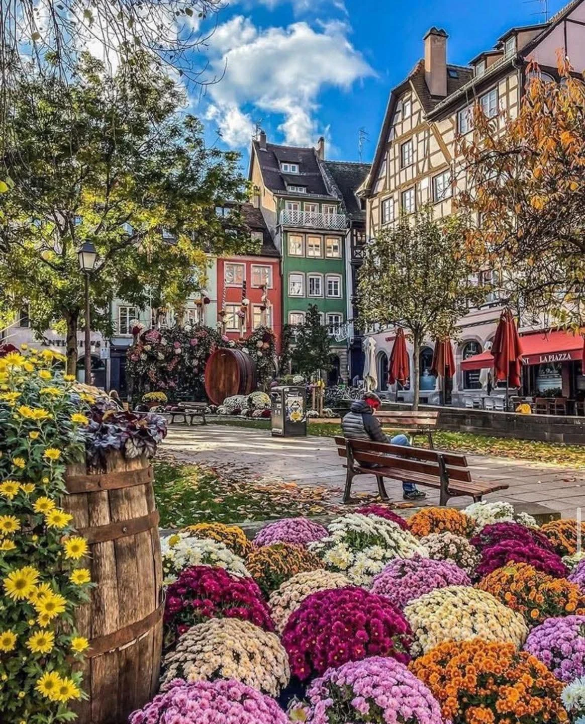 فرنسا - عدسة الجمهور - وكالة ستيب نيوز