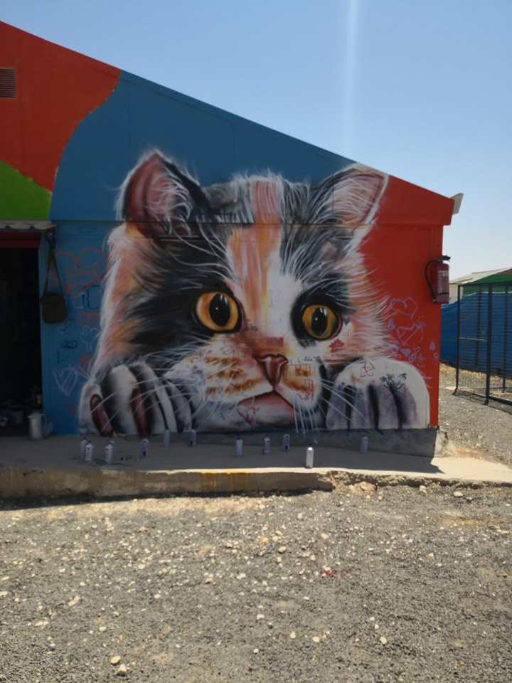 أحد فناني مخيم الزعتري يحول جدران المخيم إلى لوحات فنية مفعمة بالحياة 