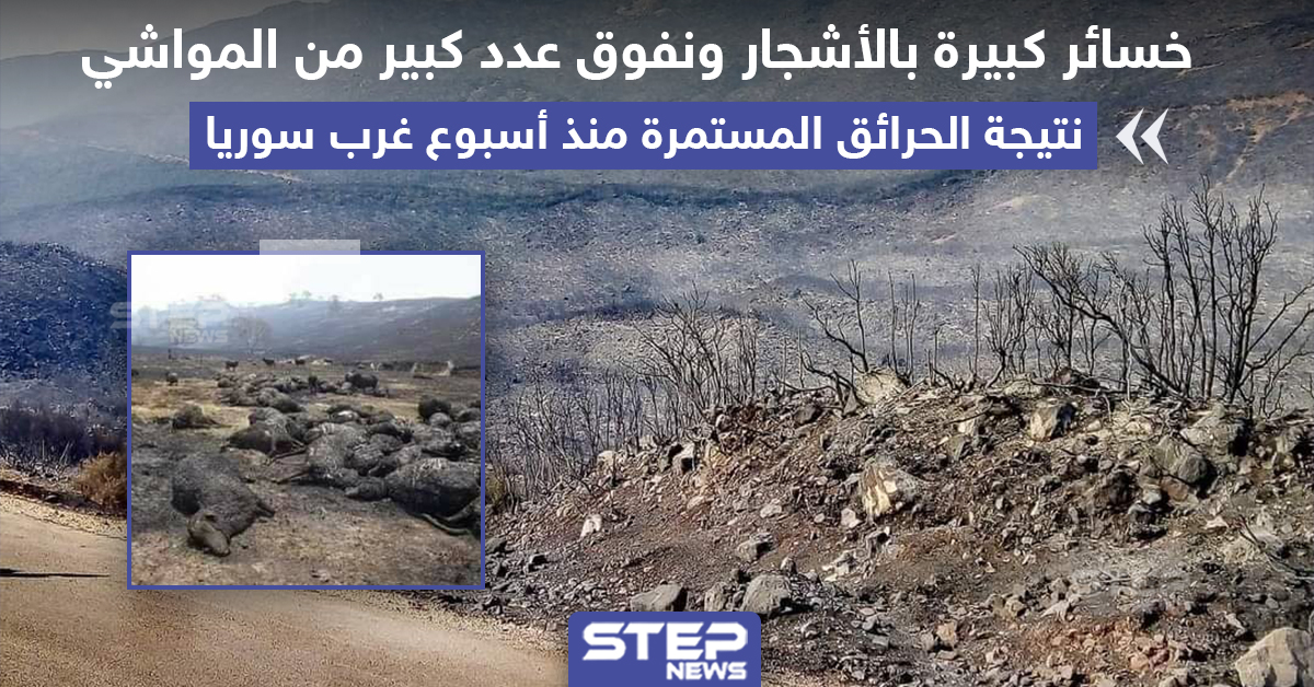 خسائر كبيرة بالأشجار و المواشي جراء الحرائق المستمرة منذ أسبوع غرب سوريا