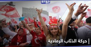 حركة الذئاب الرمادية التركية 