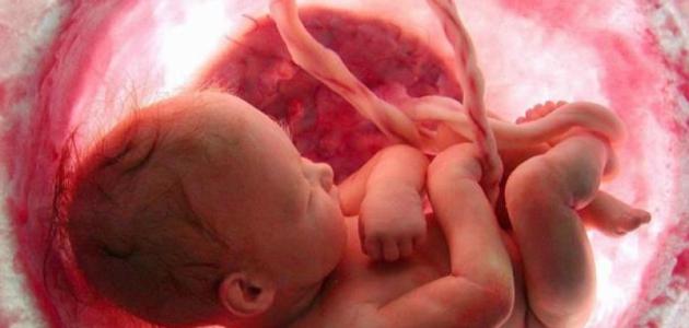 تحرك الجنين في بطن الأم 