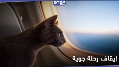 قطة "متطفلة" تجبر طاقم طائرة عربية على استقطاع رحلتها والهبوط في العاصمة السودانية