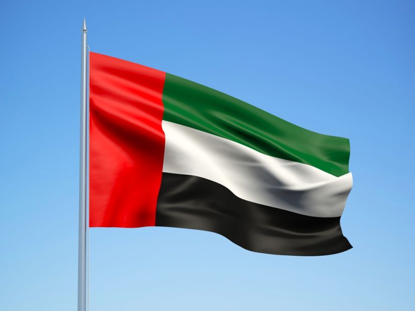 الإمارات تعلن تسيير أولى الرحلات لدعم عمليات مكافحة "الإرهاب" في هذه المنطقة