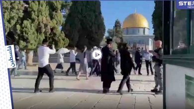 بالفيديو || مجموعات من المستوطنين تقتحم المسجد الأقصى والخارجية الفلسطينية تعلق
