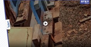 بالفيديو || المبيدات الحشرية تفتك بالنحل في إدلب والمربين يشكون انحسار المراعي