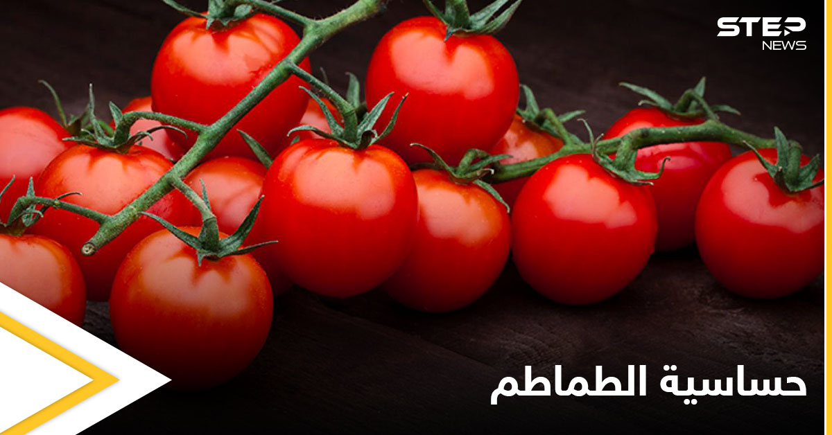 ما هي حساسية الطماطم وهل هي خطيرة تعرف إلى أهم المعلومات عنها