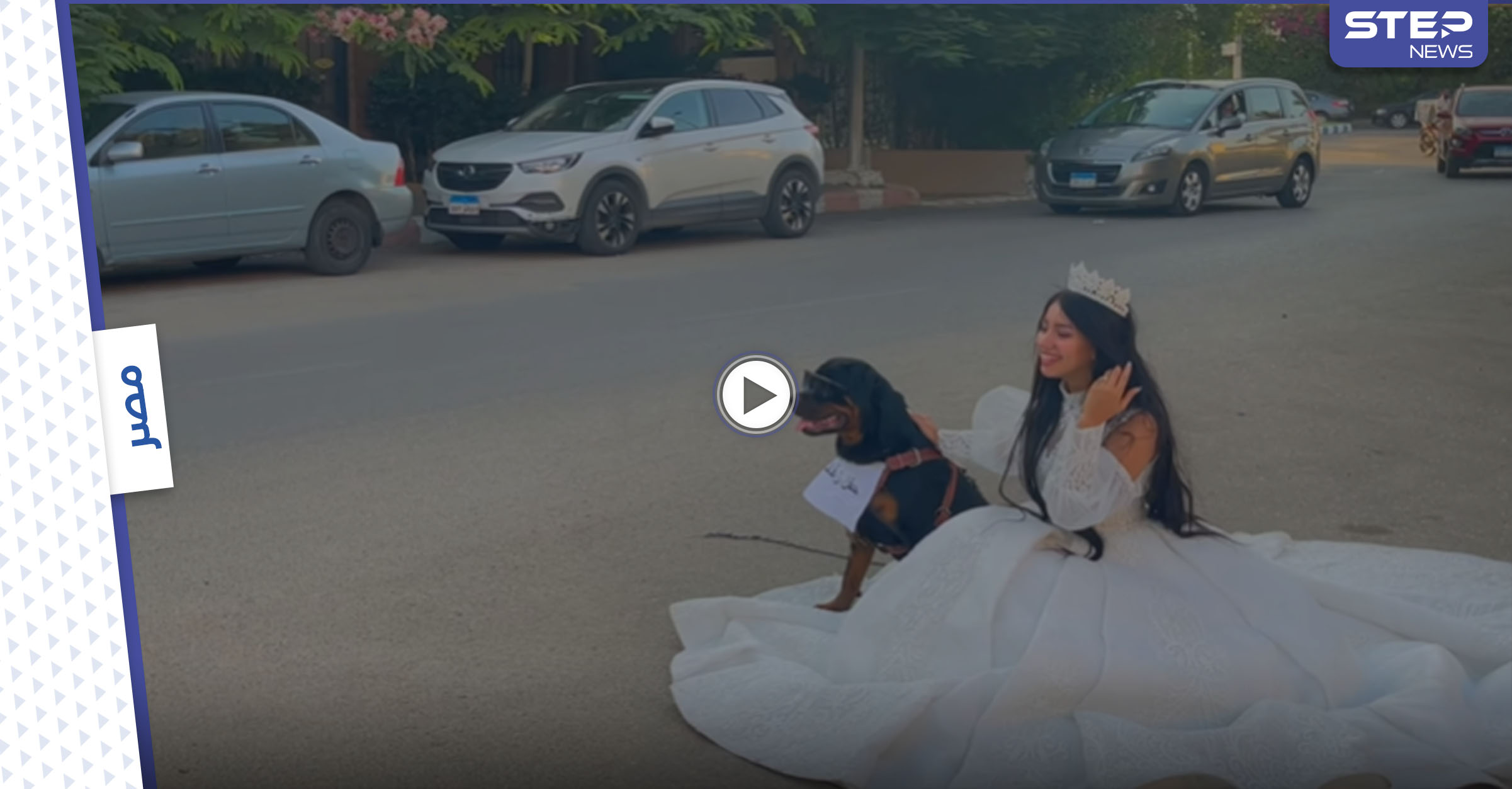 بالفيديو|| البلوجر هبة مبروك تعلن زواجها من كلب وتنشر حفل زفافها مثيرة استفزاز المصريين