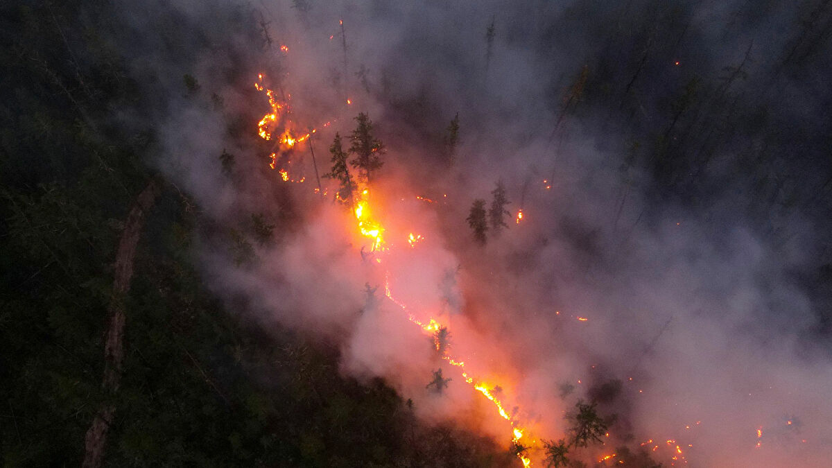 كيف تحدث حرائق الغابات ... تعرّف على عوامل انتشارها
