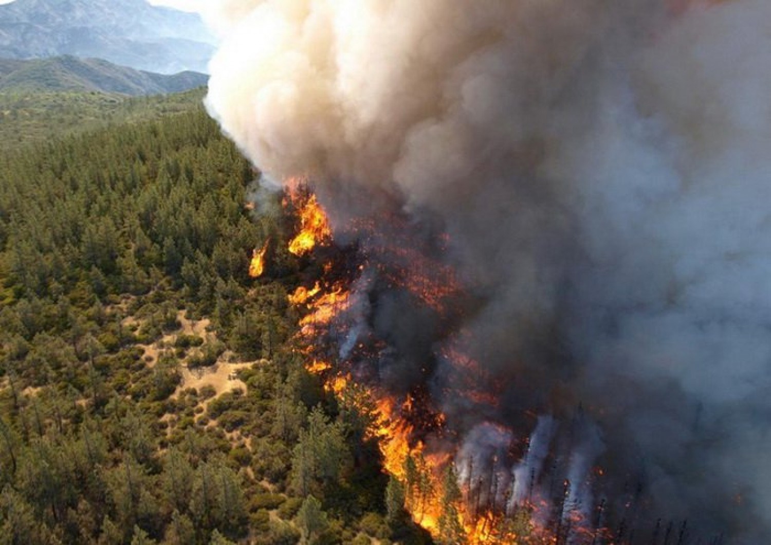 كيف تحدث حرائق الغابات ... تعرّف على عوامل انتشارها