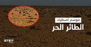 بالفيديو || كيف يُصطاد الطائر الحر في بادية الشامية بريف الرقة