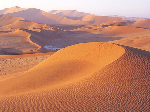 تفسير حلم الصحراء في المنام ماذا يعني أن ترى الصحراء في المنام بجميع الأحوال