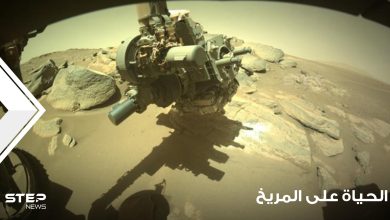 شاهد|| اكتشاف "لم يراه أحد من قبل" يدعم فرضية وجود حياة على المريخ (صور)