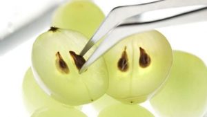 benefits of grape seeds for the skin