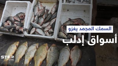 الأسماك المجمدة تغزو أسواق محافظة إدلب تماشياً مع حالة الفقر في المنطقة