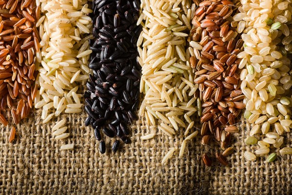 أنواع الأرز والفرق بينها