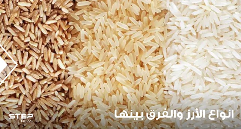 أنواع الأرز والفرق بينها و التمييز بينها من أجل الطبخ