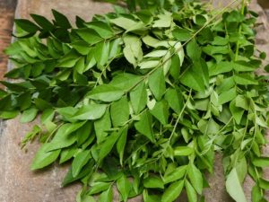 47 130553 benefits curry leaves 3