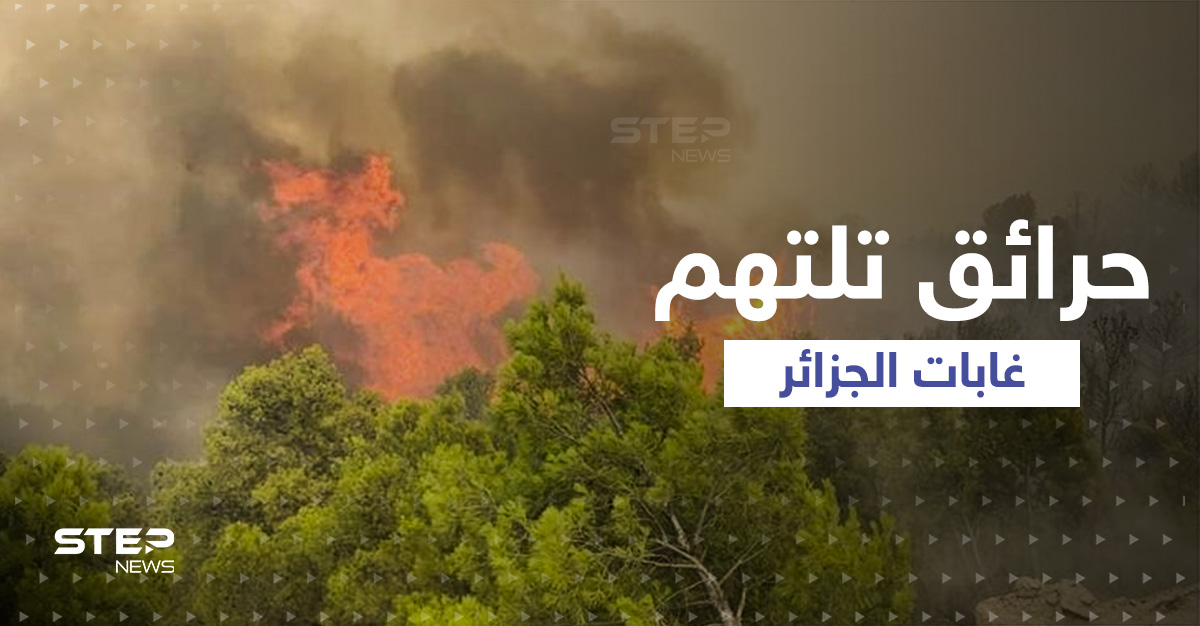 شاهد|| حرائق "قاتلة" تجتاح غابات الجزائر.. والرياح والحرارة تفاقم المشكلة
